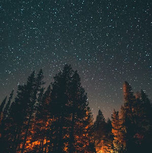 Meet your Posher, Addison